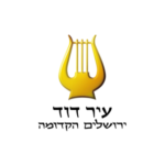 עיצוב ללא שם 5